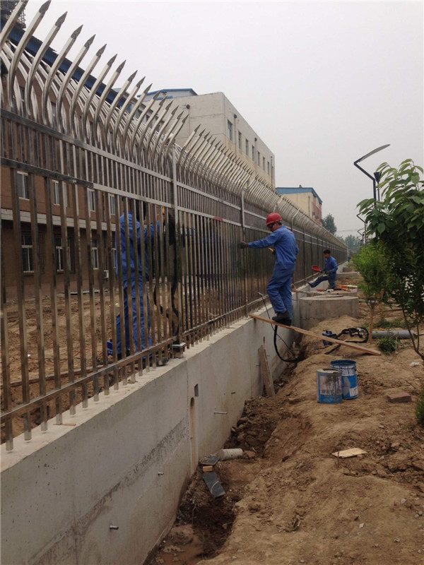 公園圍欄項目安裝（zhuāng）